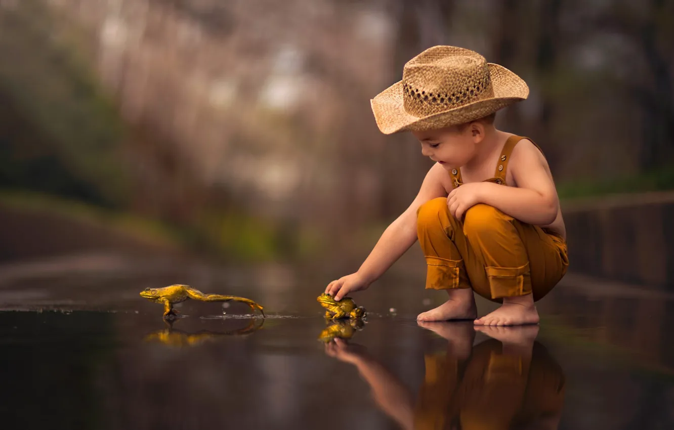 Фото обои шляпа, мальчик, лягушки