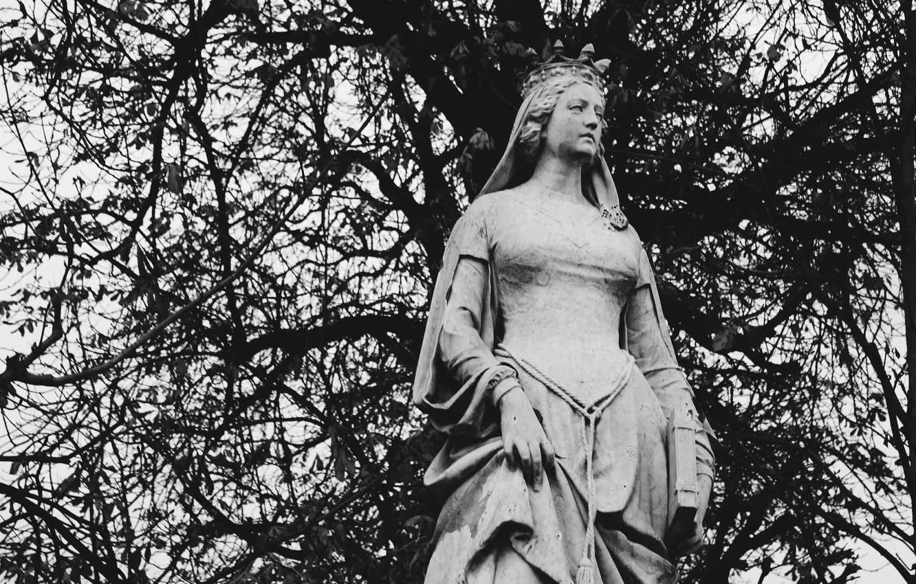 Фото обои crown, book, princess, branches