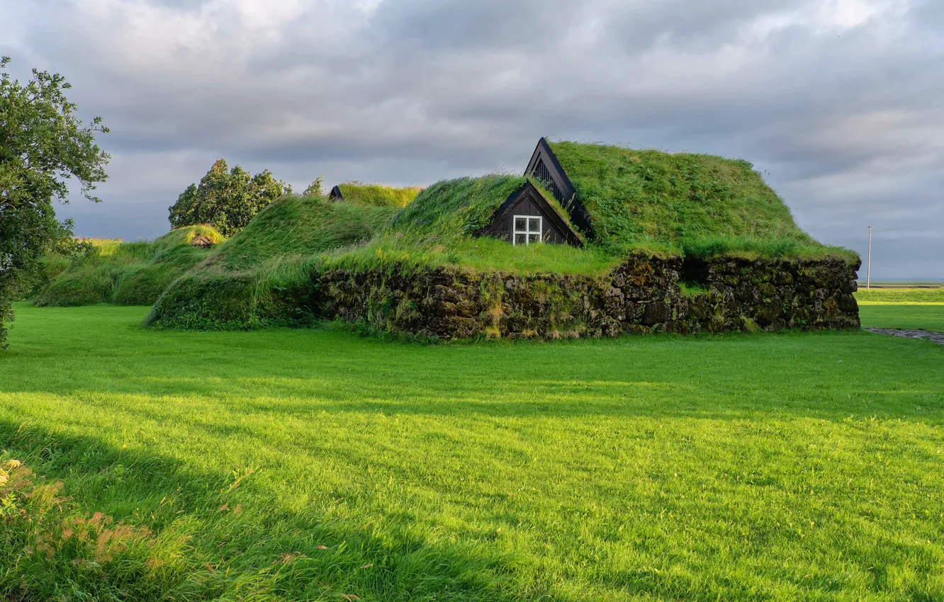 Фото обои крыша, зелень, поле, трава, облака, дом, дерево, поляна