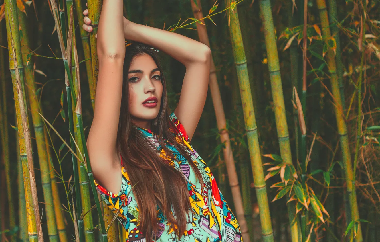 Фото обои поза, модель, руки, бамбук, Paula Riba