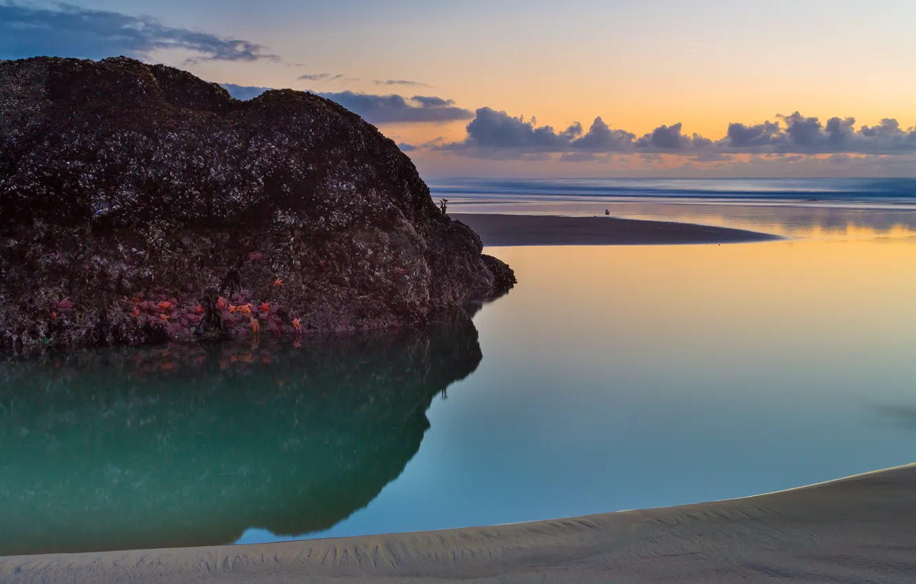 Фото обои пляж, закат, скала, океан, the Bandon beach, Oregon Coast, USA. Sunset