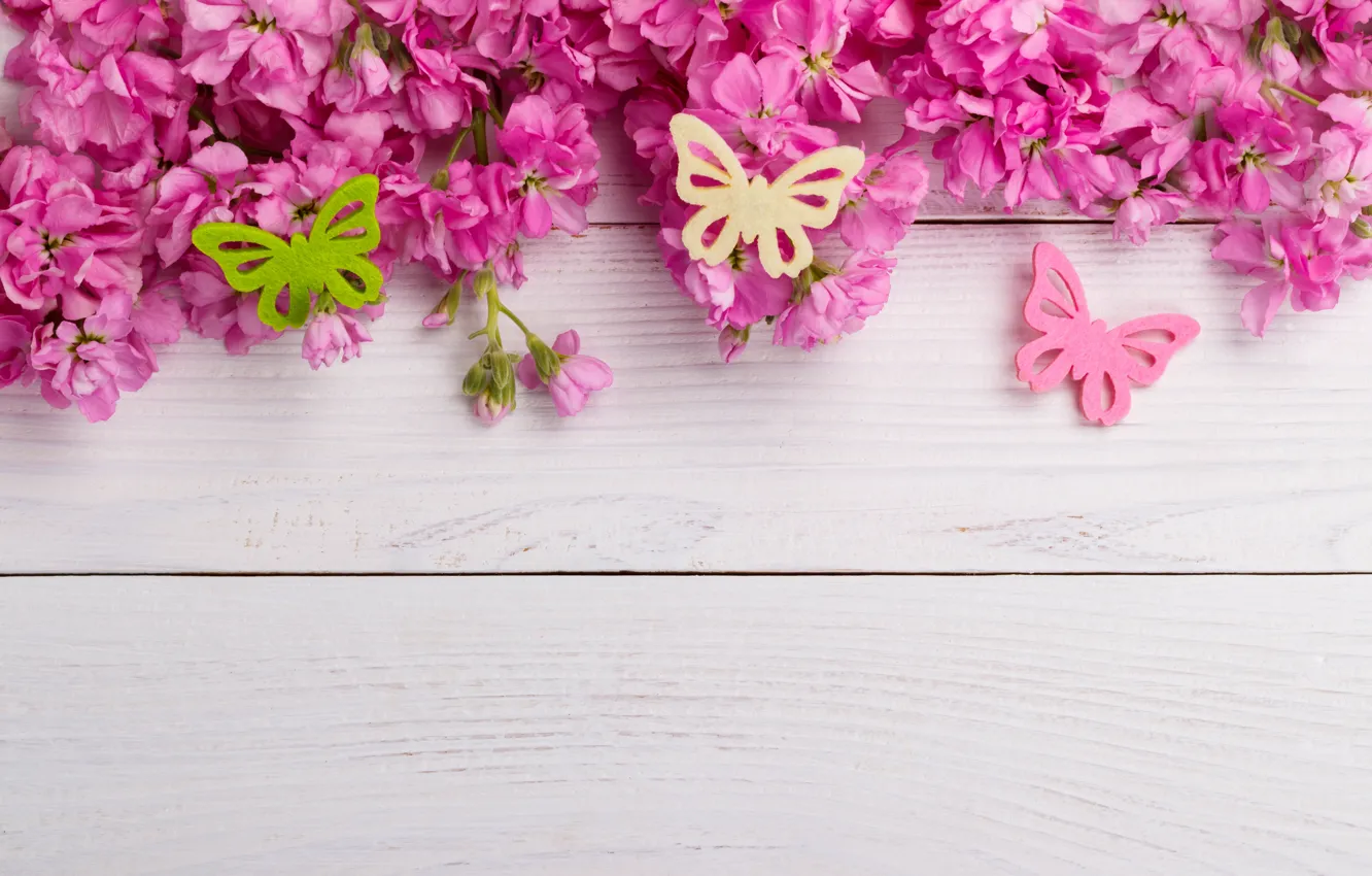 Фото обои бабочки, цветы, розовые, wood, pink, flowers, spring, butterflies