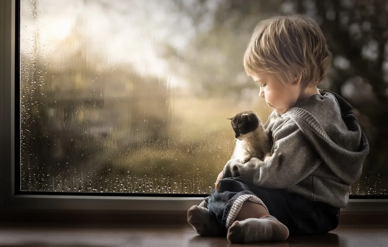 Фото обои кошка, мальчик, окно