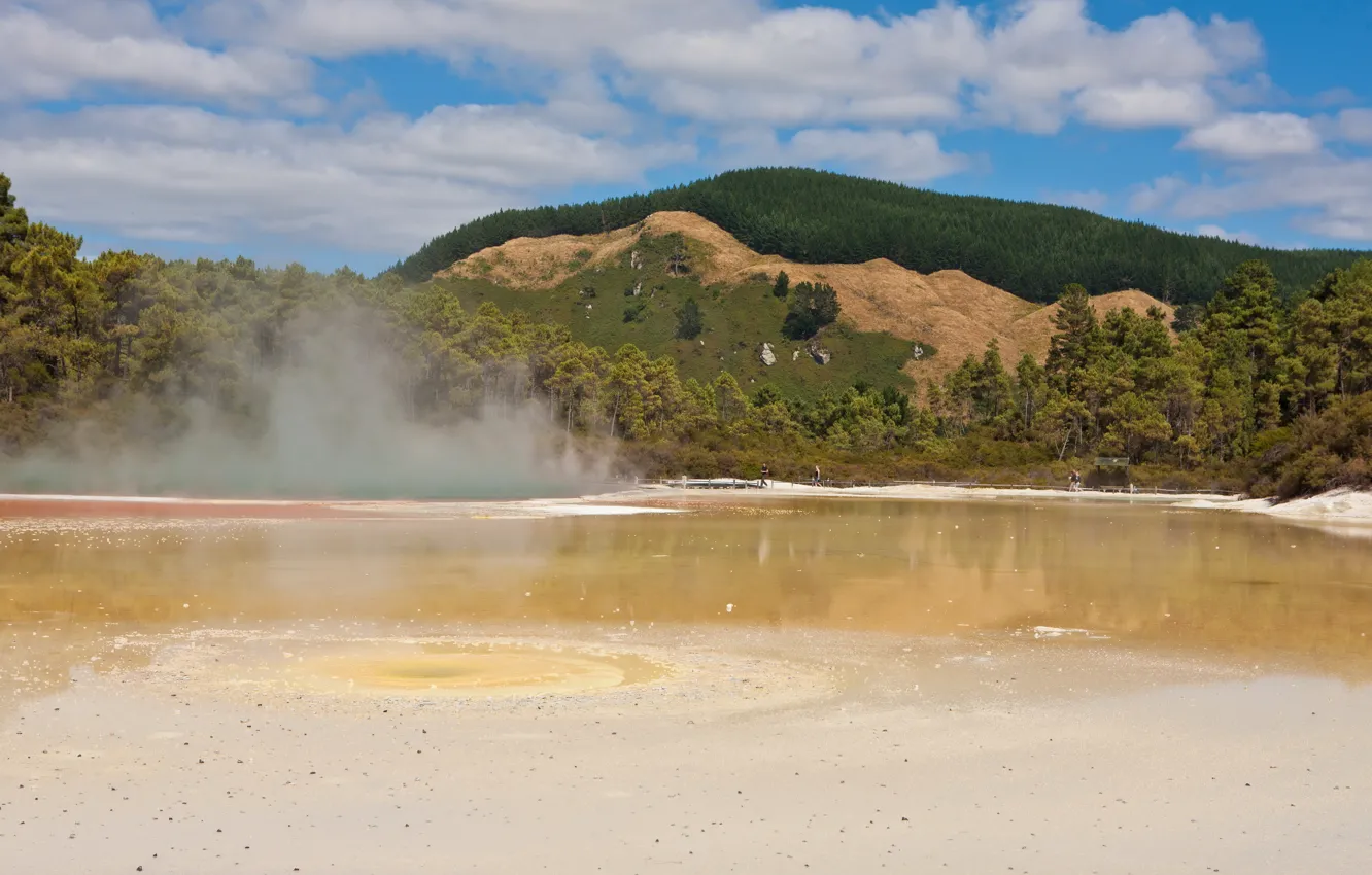 Фото обои пейзаж, природа, озеро, Новая, Зеландия, Rotorua