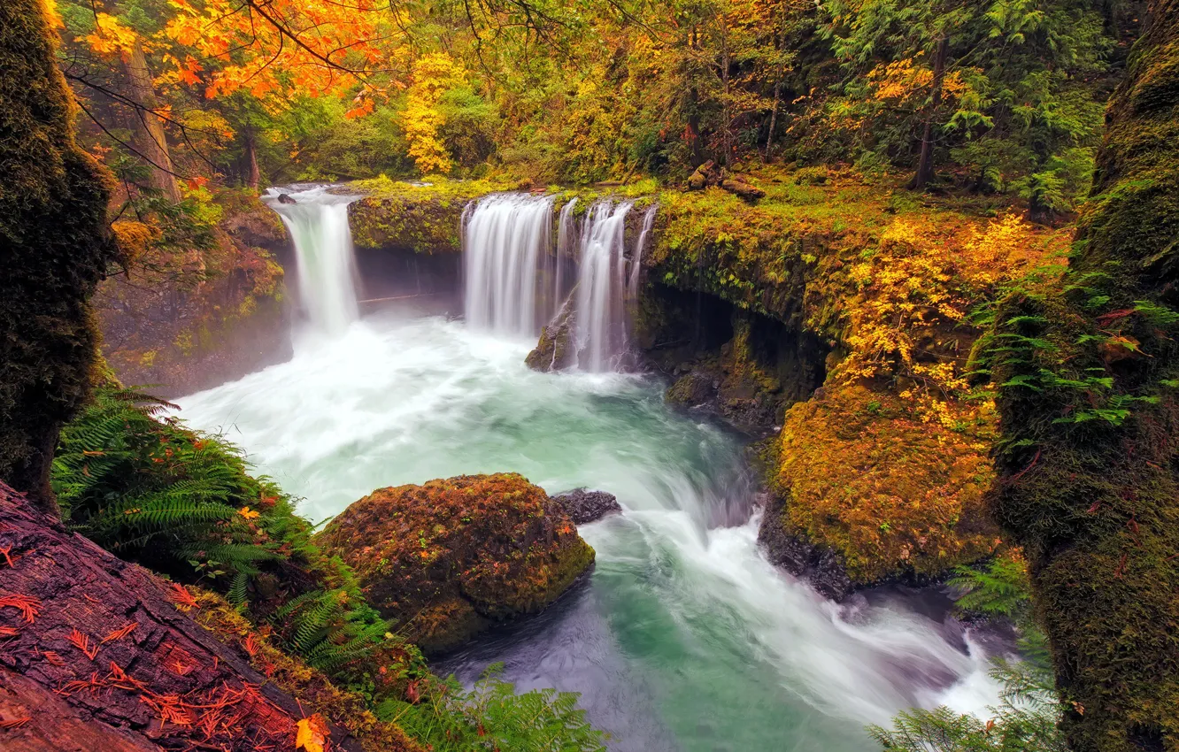 Фото обои осень, лес, озеро, водопад