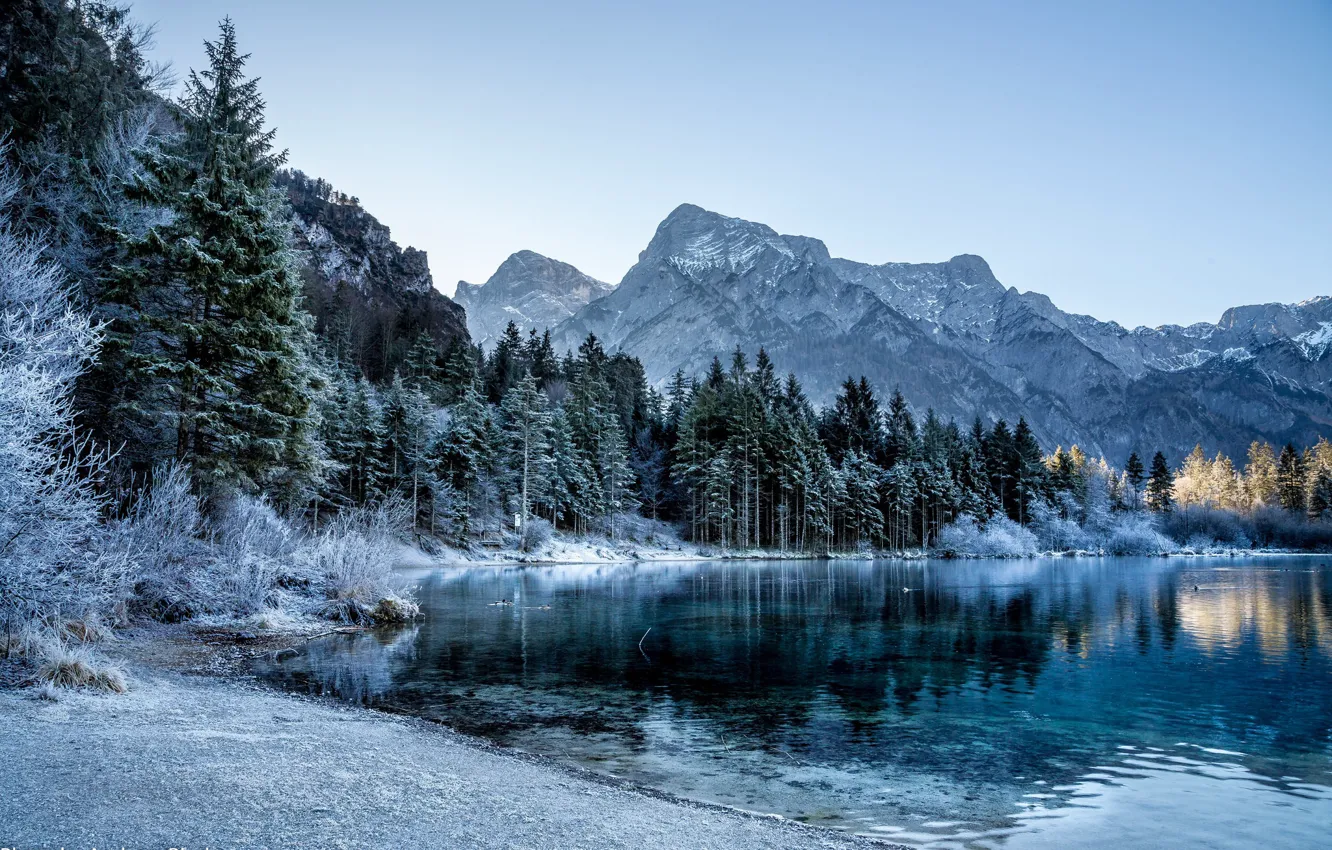 Фото обои зима, деревья, горы, озеро, ели