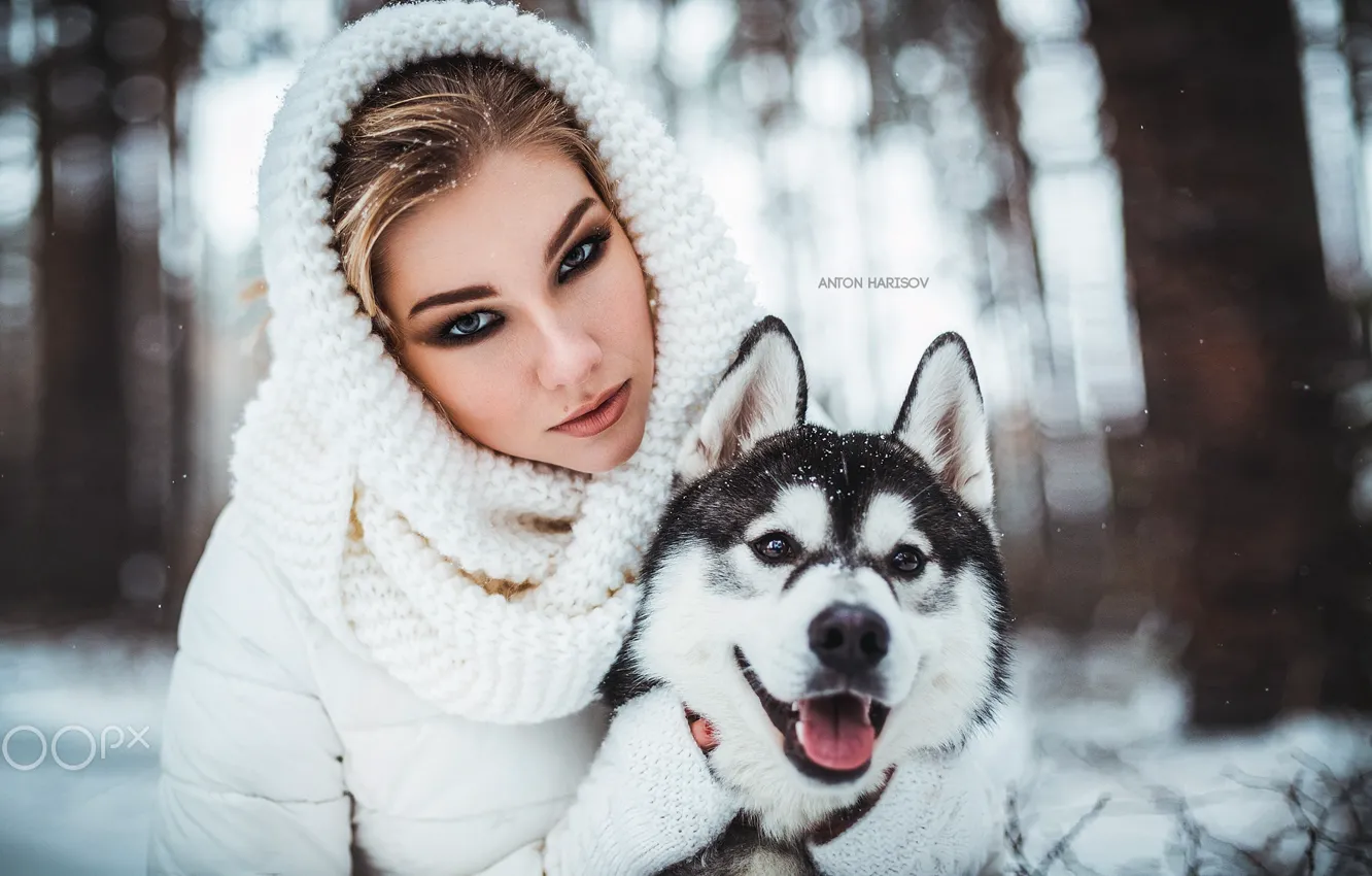 Фото обои зима, взгляд, морда, девушка, снег, портрет, собака, друзья
