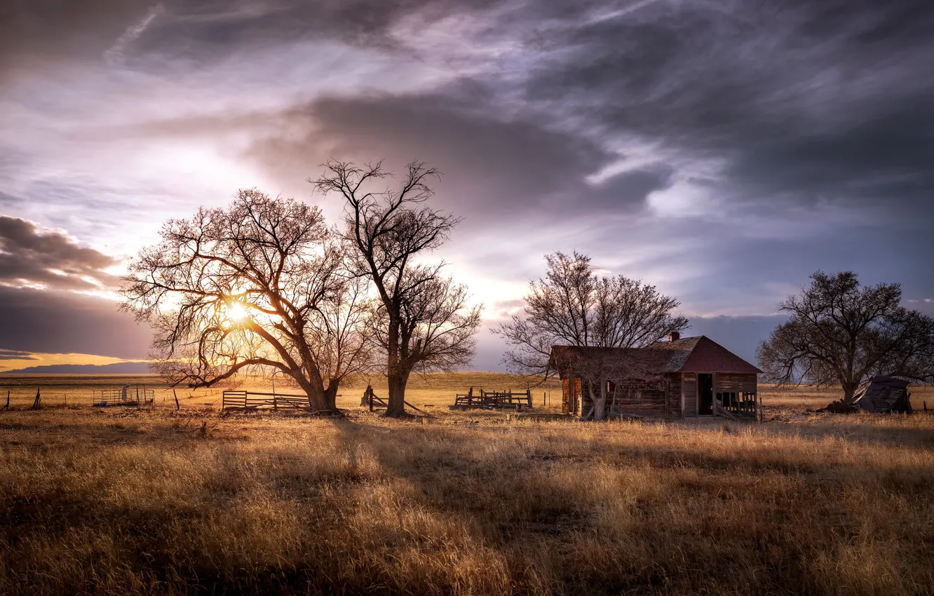 Фото обои поле, свет, дом, дерево, United States, Colorado, Ellicott