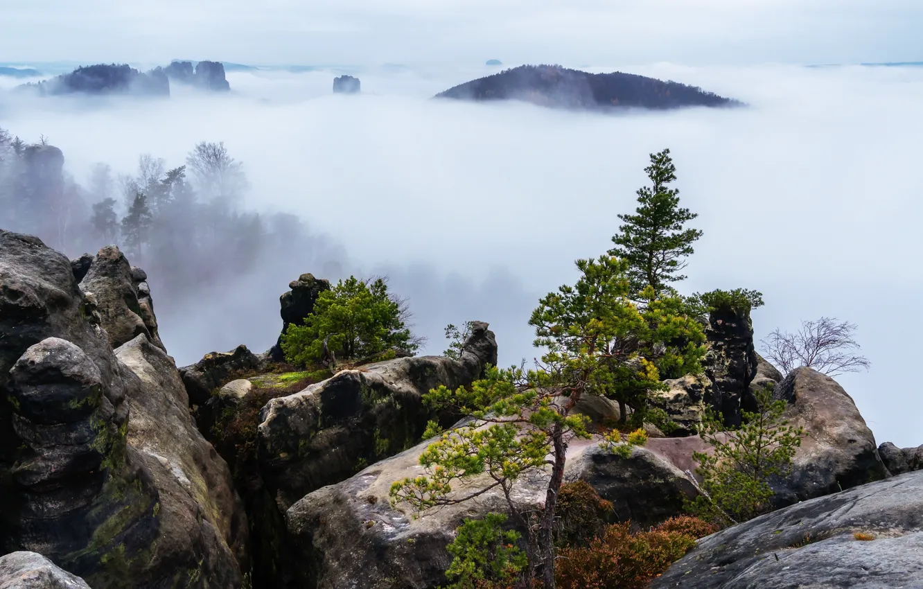 Фото обои горы, природа, туман