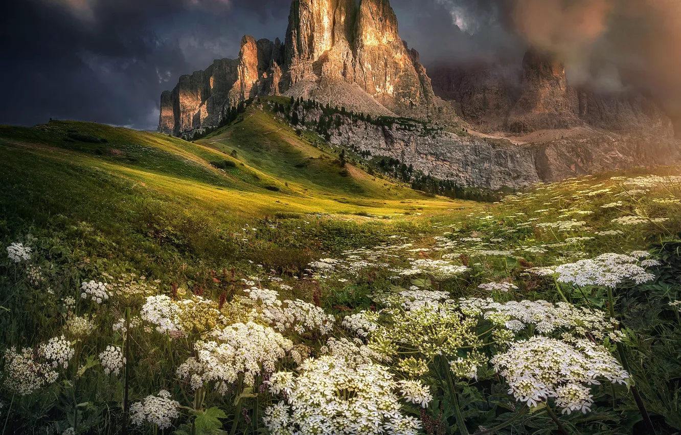 Фото обои пейзаж, горы, тучи, природа, растительность, Италия, Доломиты