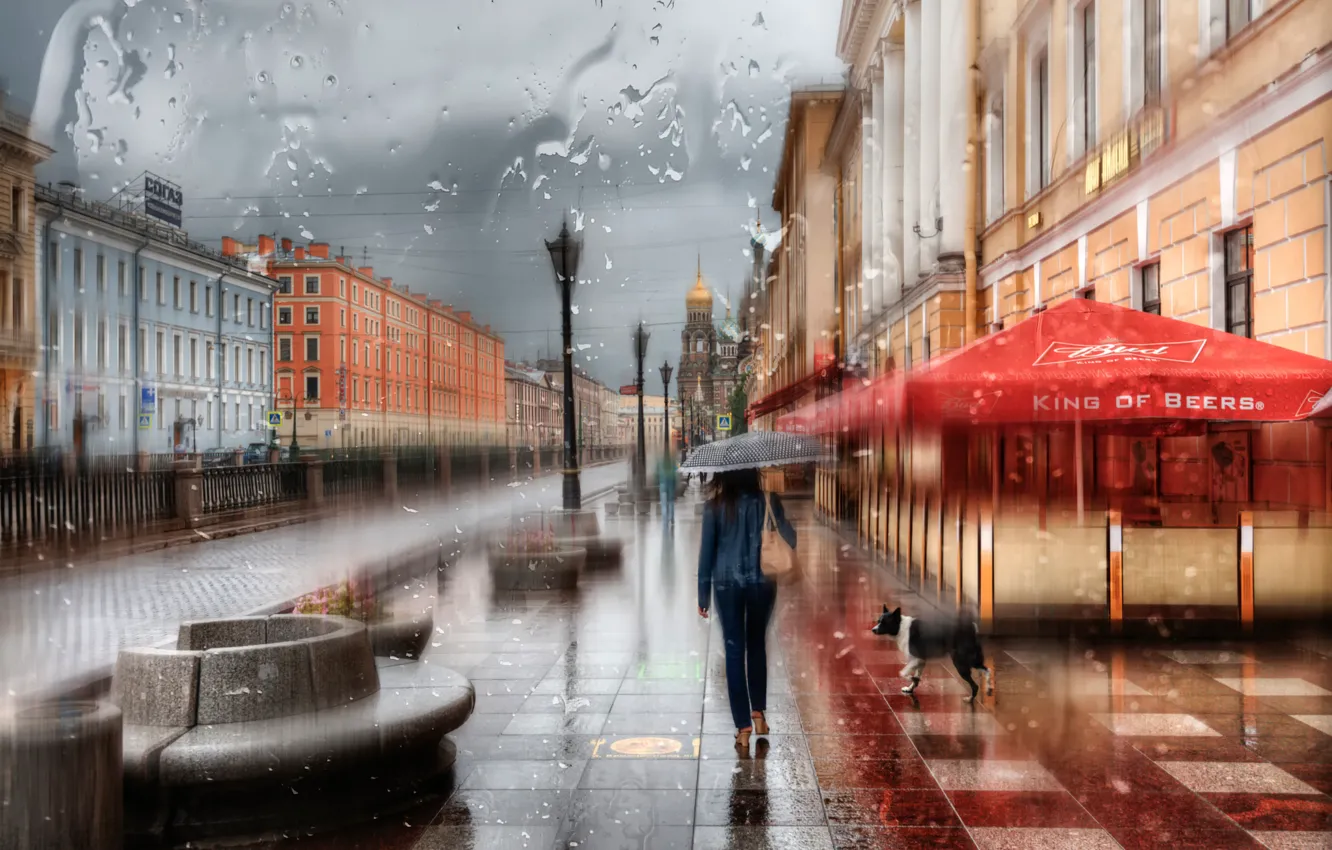 Фото обои девушка, капли, дождь, зонт, Санкт-Петербург, Россия