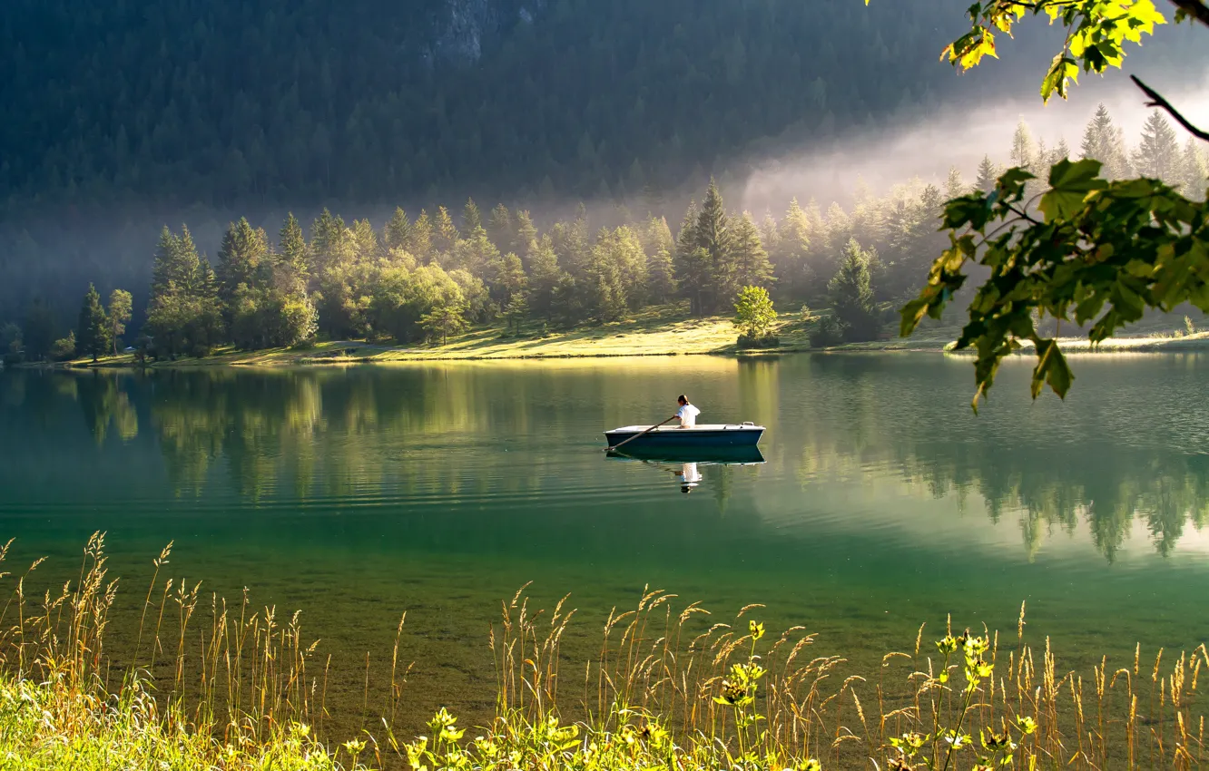 Фото обои лес, трава, вода, деревья, природа, озеро, отражение, лодка
