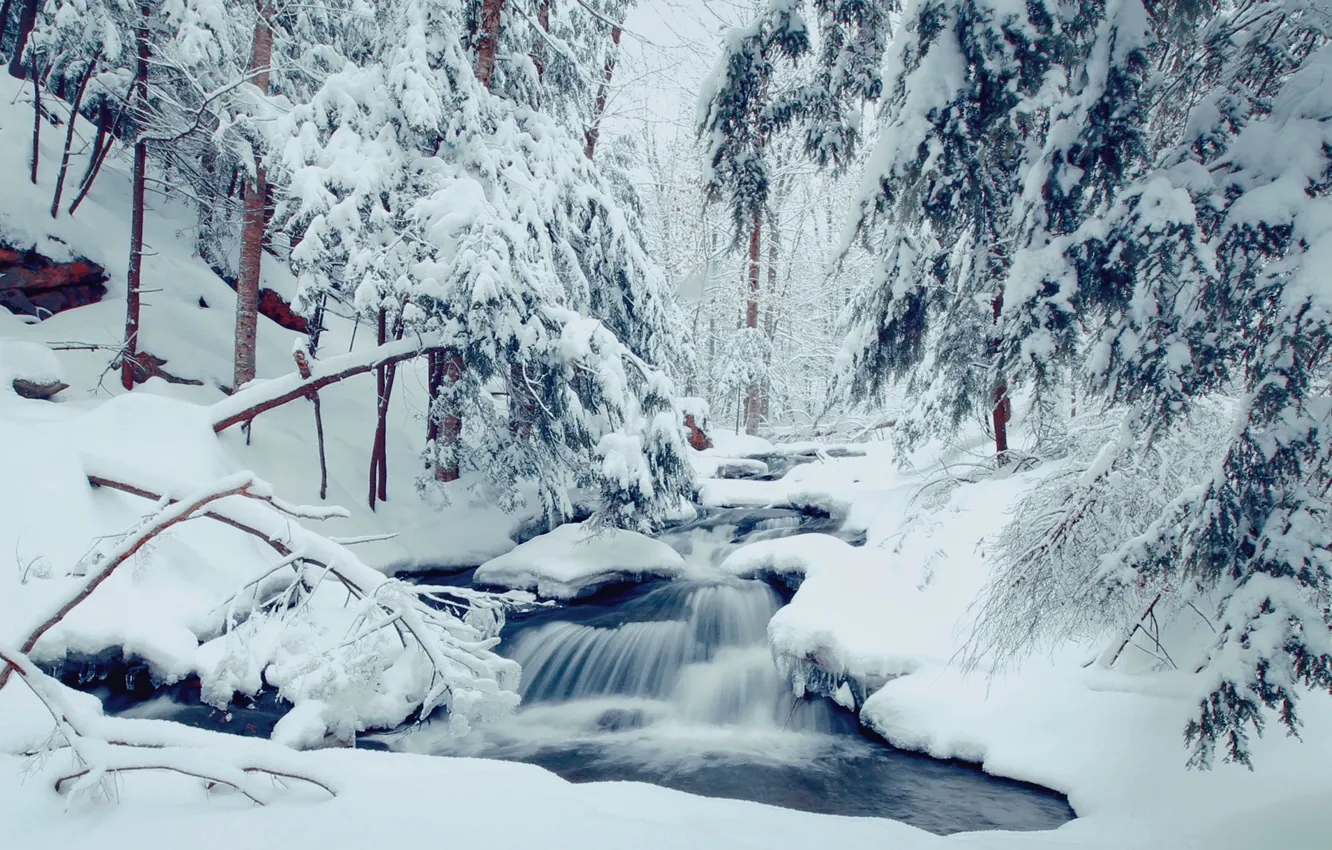 Фото обои зима, лес, снег, деревья, ручей, сугробы, речка