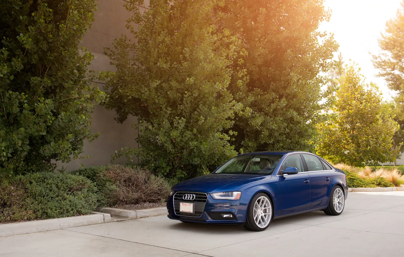 Фото обои Audi, ауди, синяя, blue