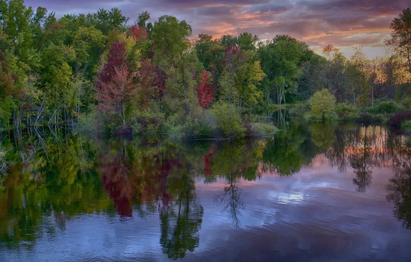 Фото обои осень, лес, небо, облака, река, вечер