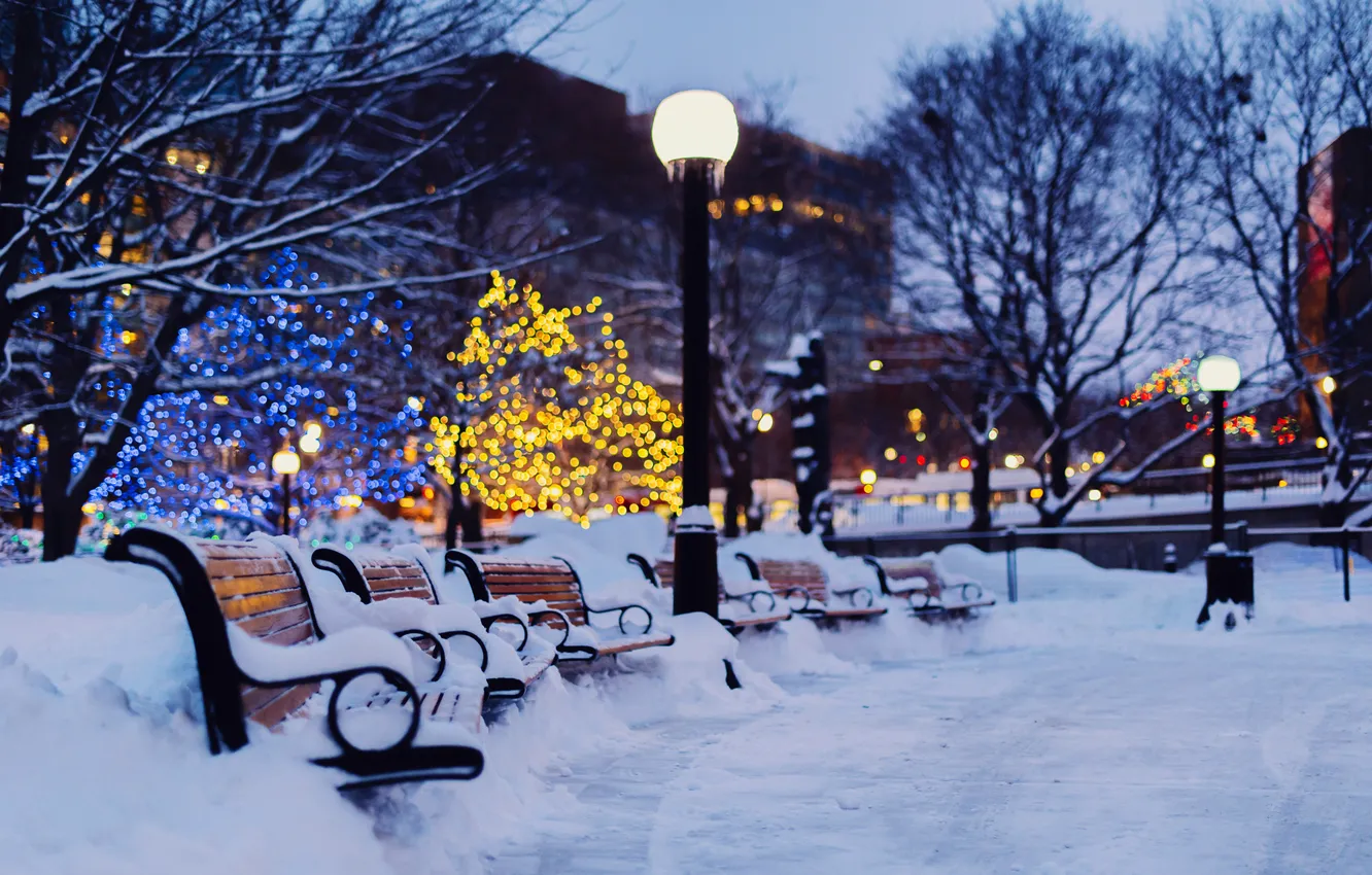 Фото обои зима, свет, снег, деревья, город, огни, вечер, фонари