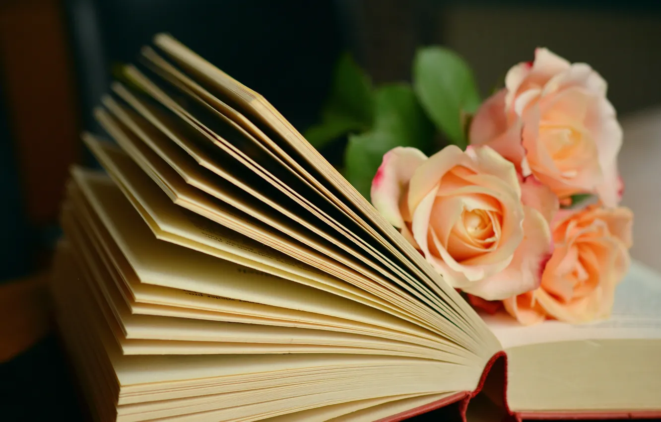 Фото обои цветы, розы, букет, книга
