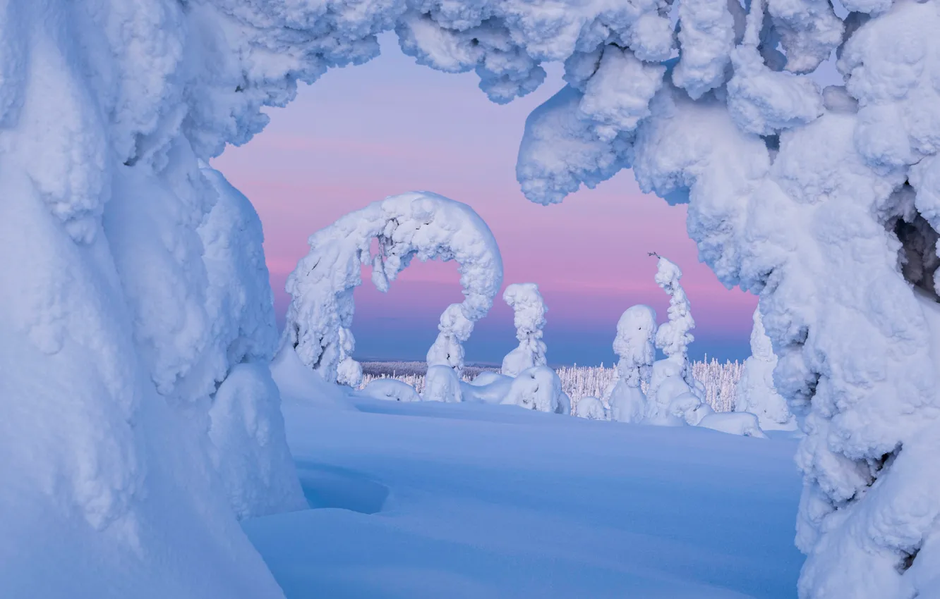 Фото обои зима, снег, деревья, сугробы, Финляндия, Finland, Lapland, Лапландия