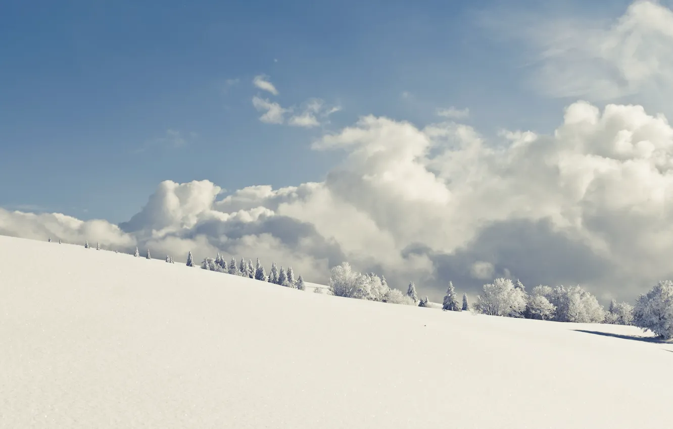 Фото обои зима, небо, снег, пейзаж