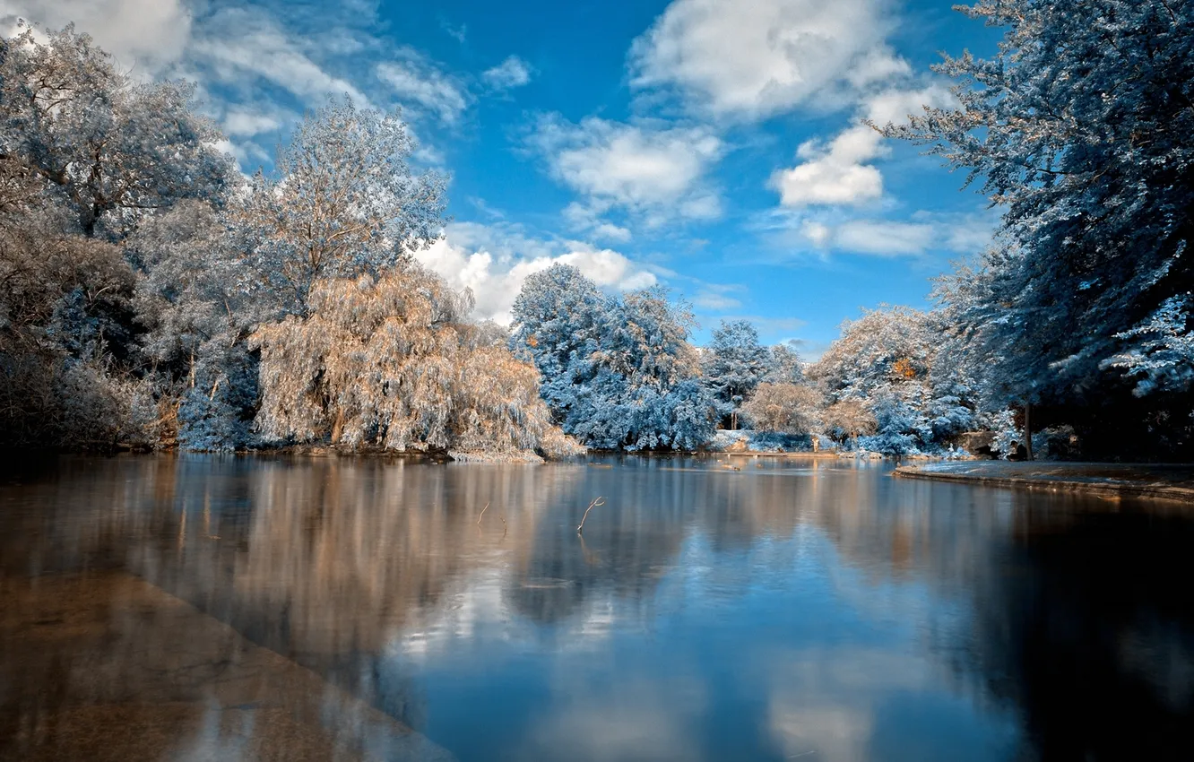 Фото обои зима, вода, облака, снег, деревья, озеро, гладь