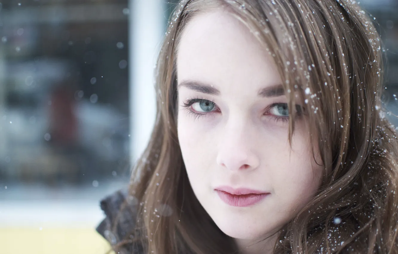Фото обои взгляд, снег, актриса, Allie MacDonald, Элли МакДональд