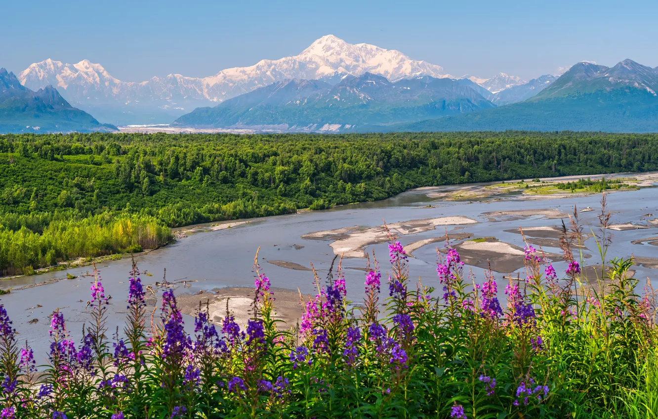 Фото обои пейзаж, горы, природа, река, США, Denali National Park
