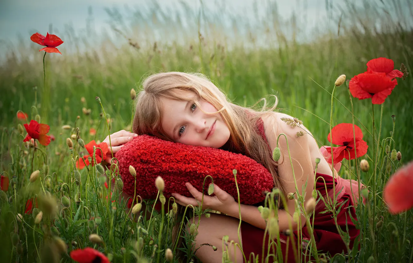 Фото обои зелень, поле, лето, трава, взгляд, цветы, красный, поза