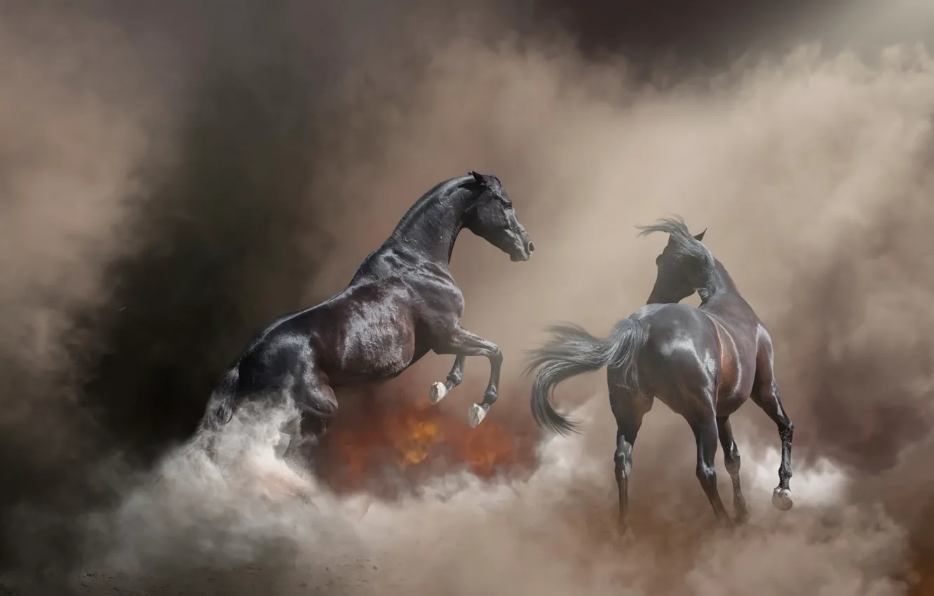 Фото обои природа, поза, туман, фон, пожар, огонь, конь, лошадь