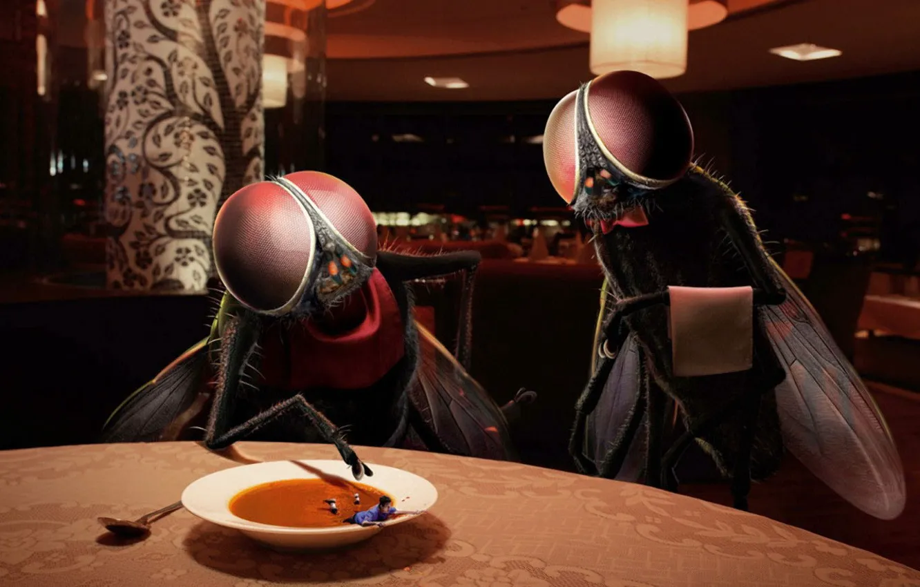Фото обои муха, человек, юмор, суп, Ресторан