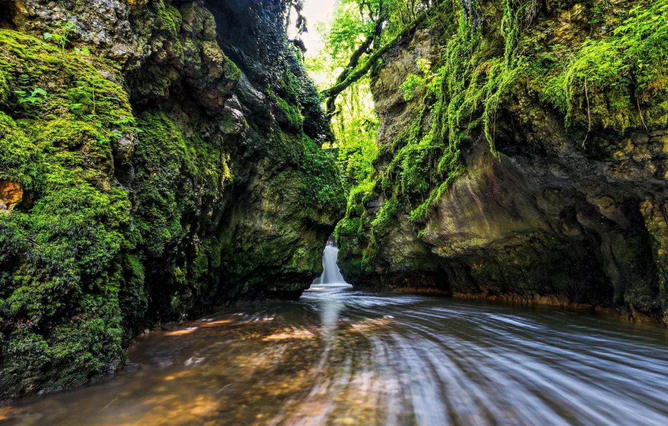 Фото обои ручей, камни, скалы, водопад, мох