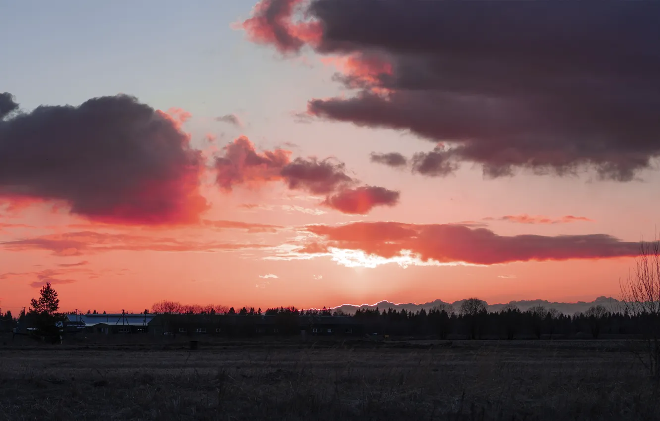 Фото обои поле, пейзаж, Закат, розовый закат