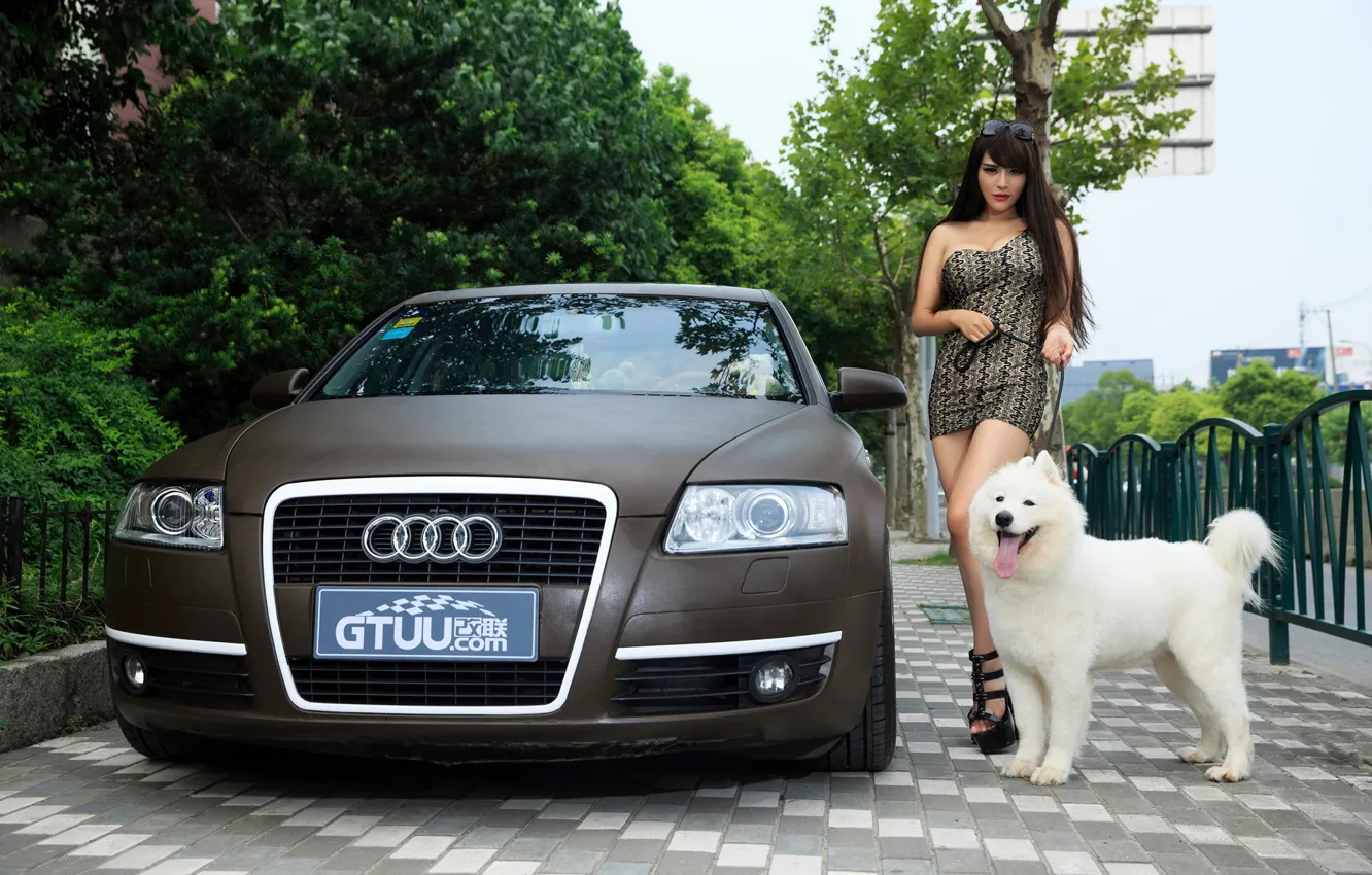 Фото обои девушка, собака, автомобиль