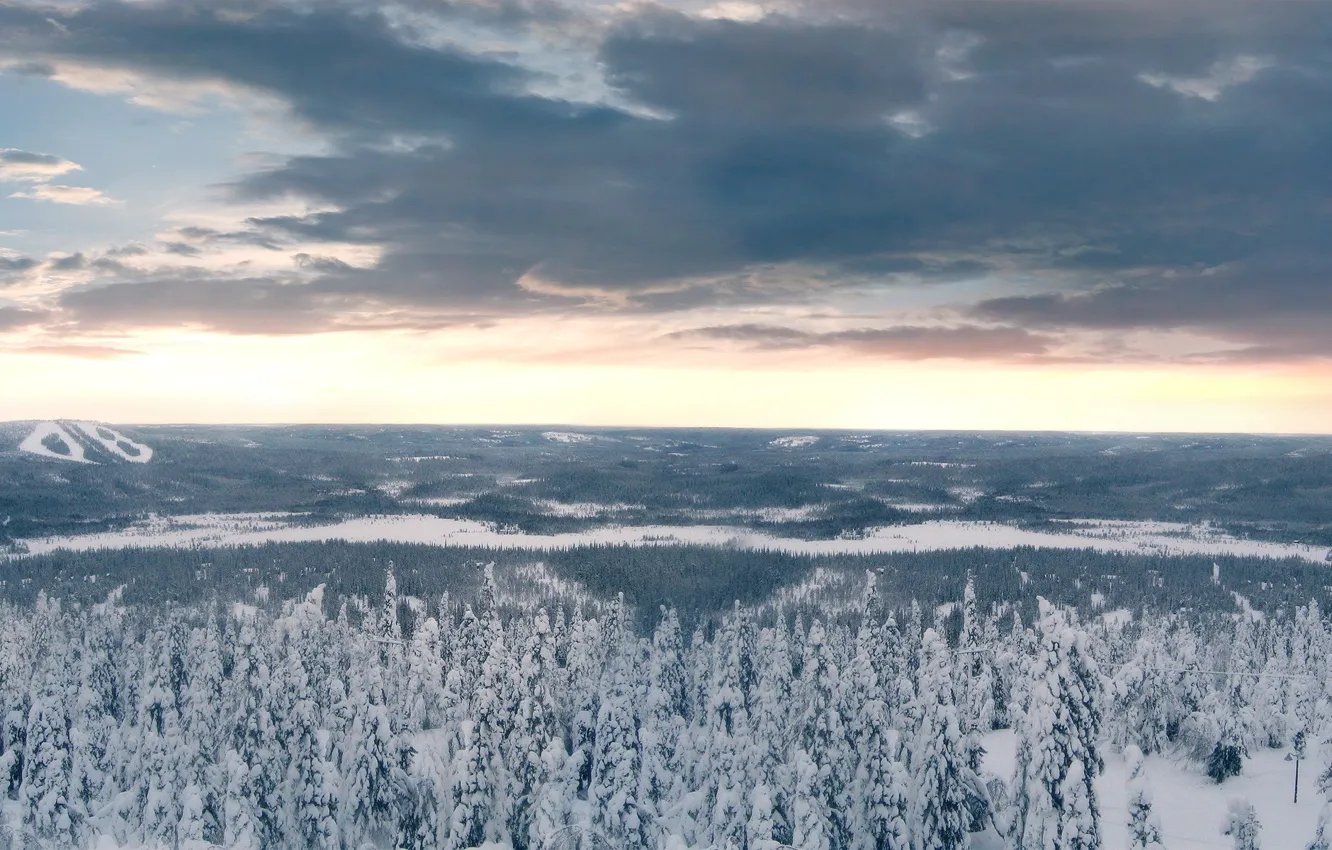 Фото обои зима, лес, облака, снег, Деревья