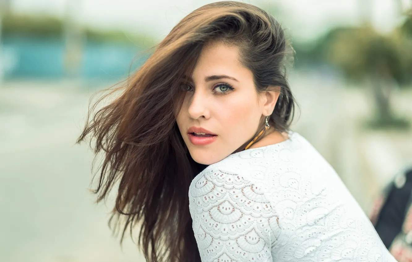 Фото обои взгляд, девушка, фон, портрет, макияж, брюнетка, прическа, блузка