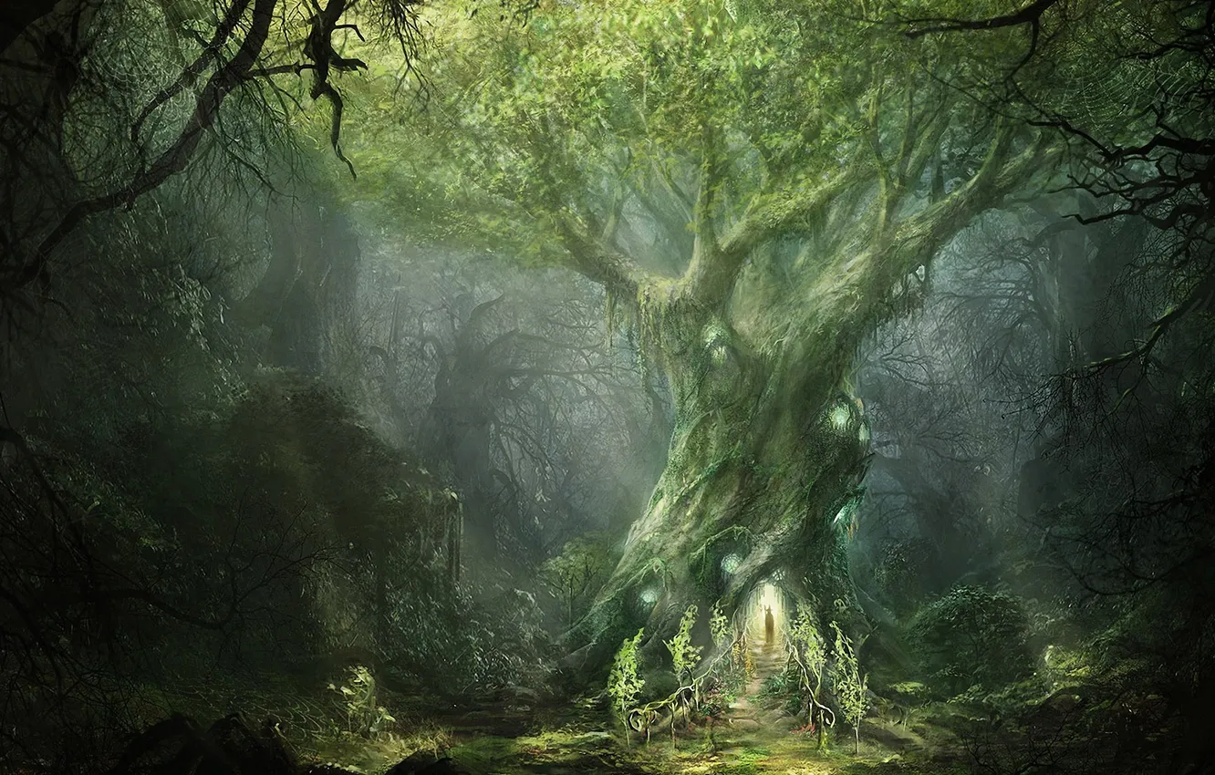 Фото обои лес, дерево, арт, маг, вход, Lord of The Rings, War In The North, Ilya Nazarov