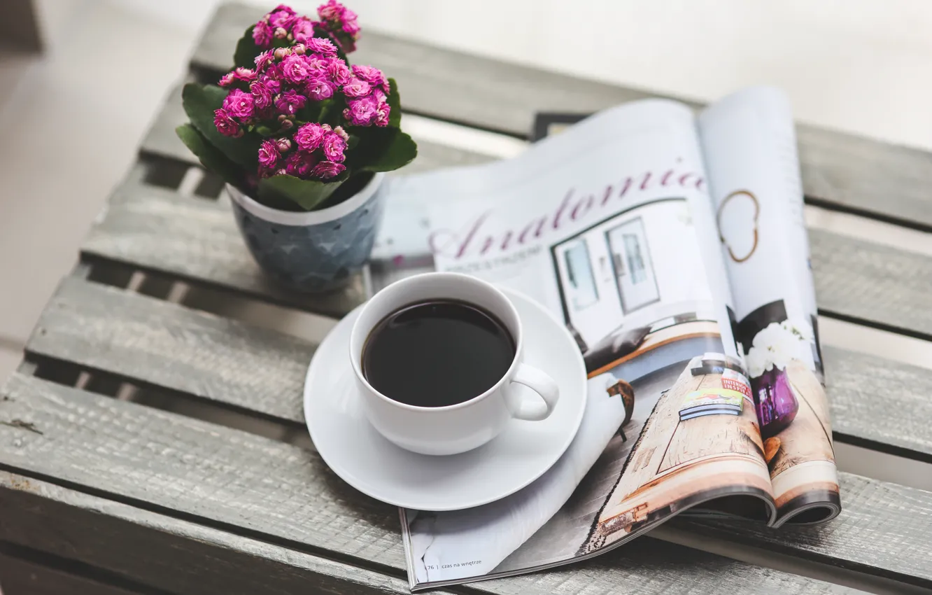 Фото обои flower, coffee, good morning, reading, magazine