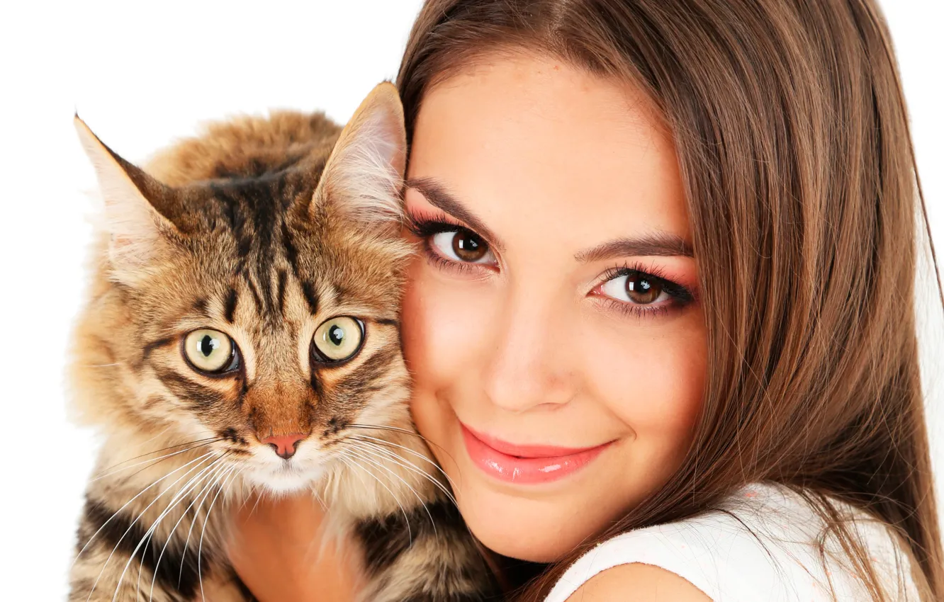 Фото обои кошка, взгляд, девушка, лицо, улыбка, макияж, мордочка, прическа