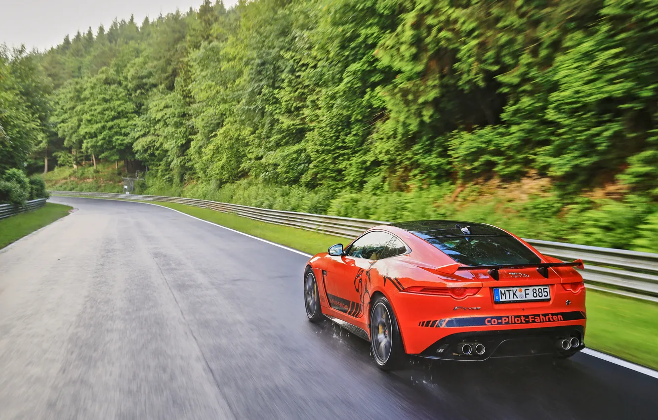 Фото обои капли, оранжевый, движение, дождь, пасмурно, растительность, трасса, Jaguar