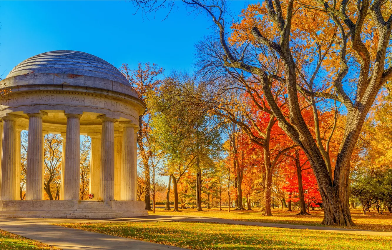 Фото обои осень, листья, солнце, деревья, парк, желтые, Вашингтон, США