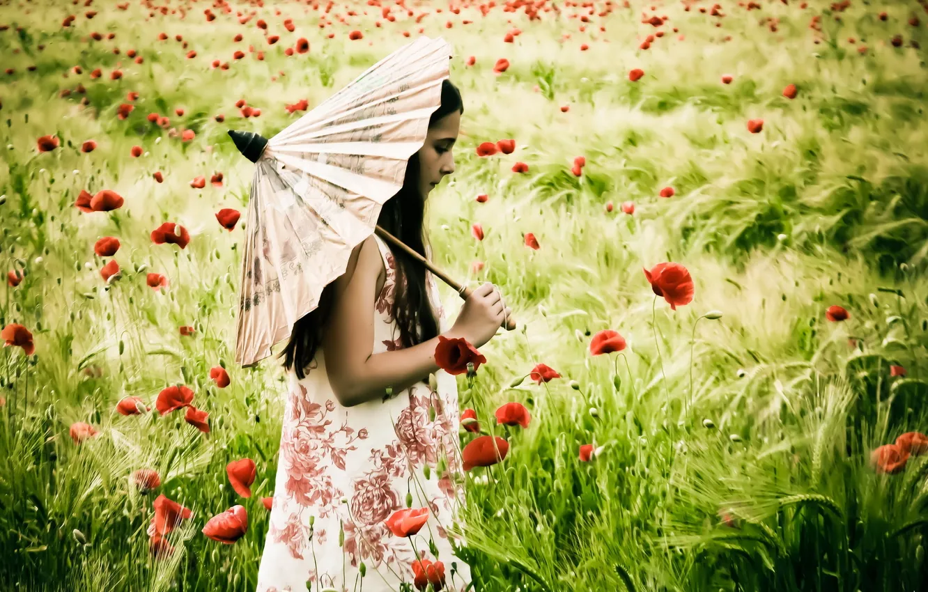 Фото обои поле, настроение, маки, зонт, девочка