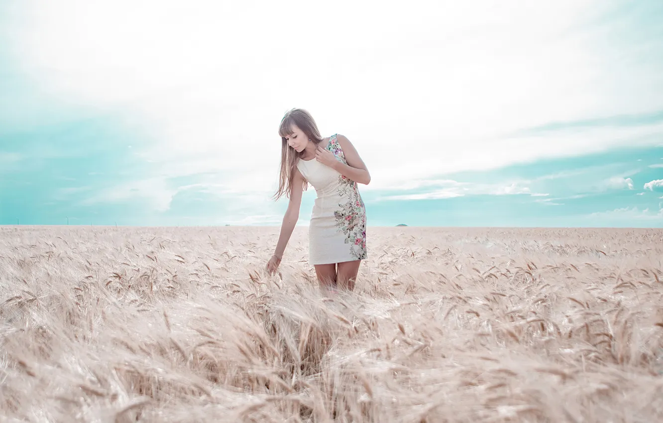 Фото обои поле, девушка, платье, колосья, Sergey Belikov