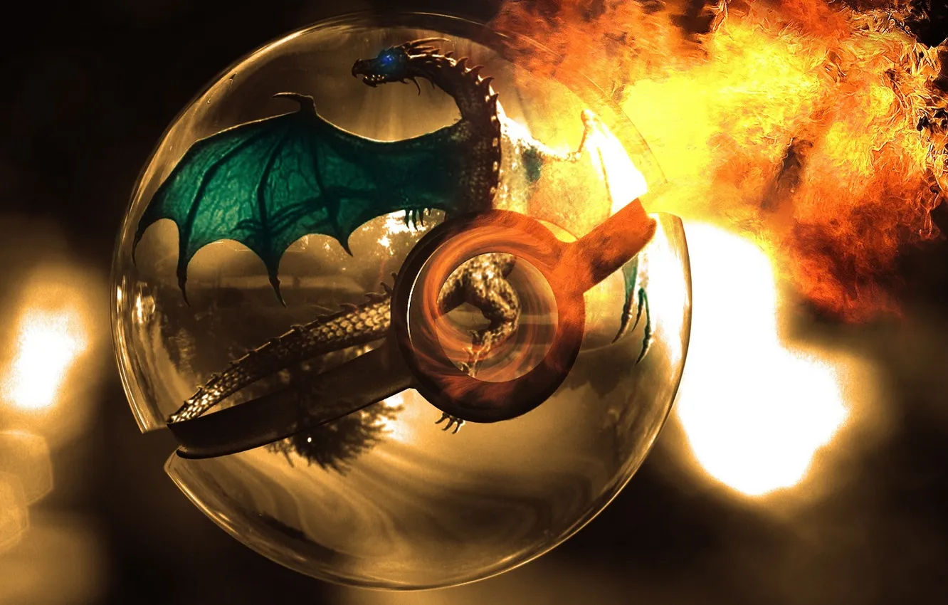 Фото обои огонь, дракон, шар, арт, сфера, pokemon, pokeball, charizard
