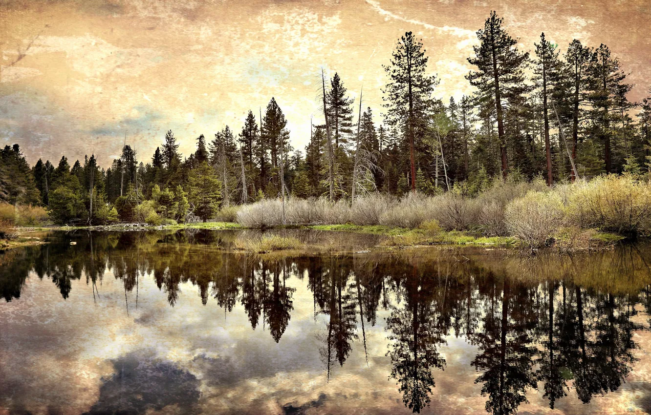 Фото обои осень, лес, облака, озеро, отражение, берег, обработка, текстура