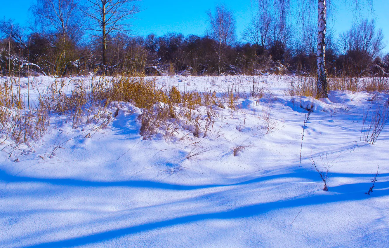 Фото обои white, winter, snow