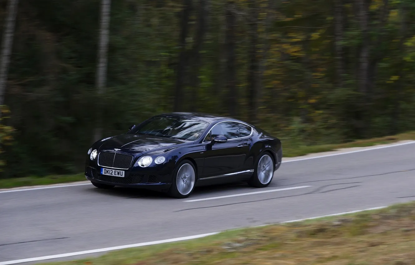 Фото обои Bentley, Continental, Дорога, Синий, Лес, GTC, В движении, Темно синий