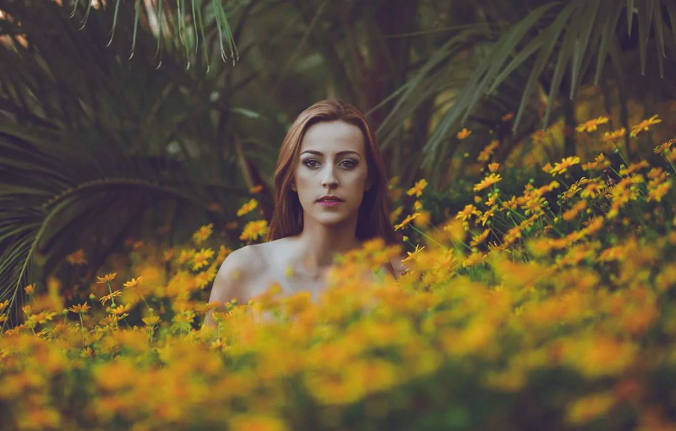 Фото обои лето, девушка, цветы, природа, лицо, волосы