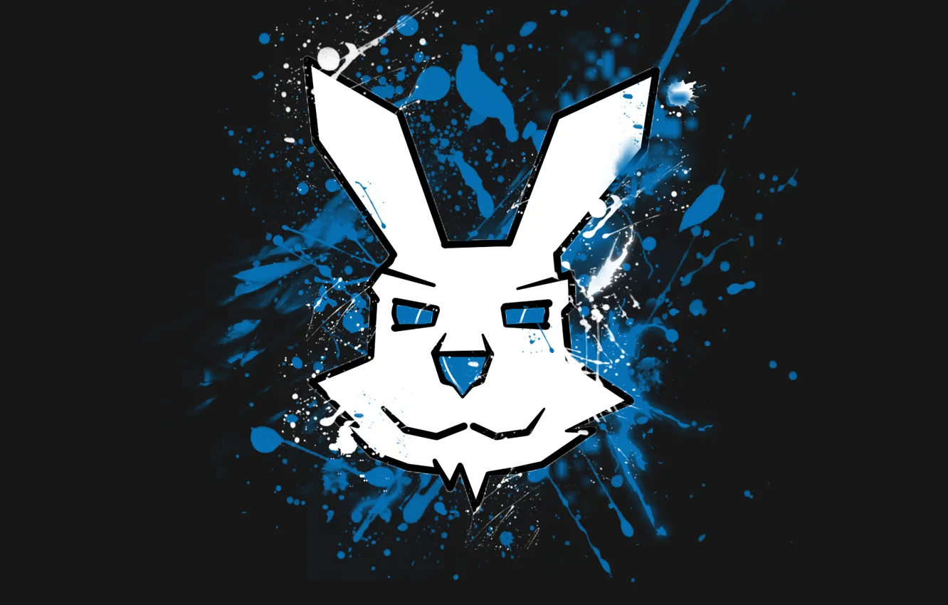 Фото обои брызги, граффити, заяц, логотип, кролик, bunny, AlwH