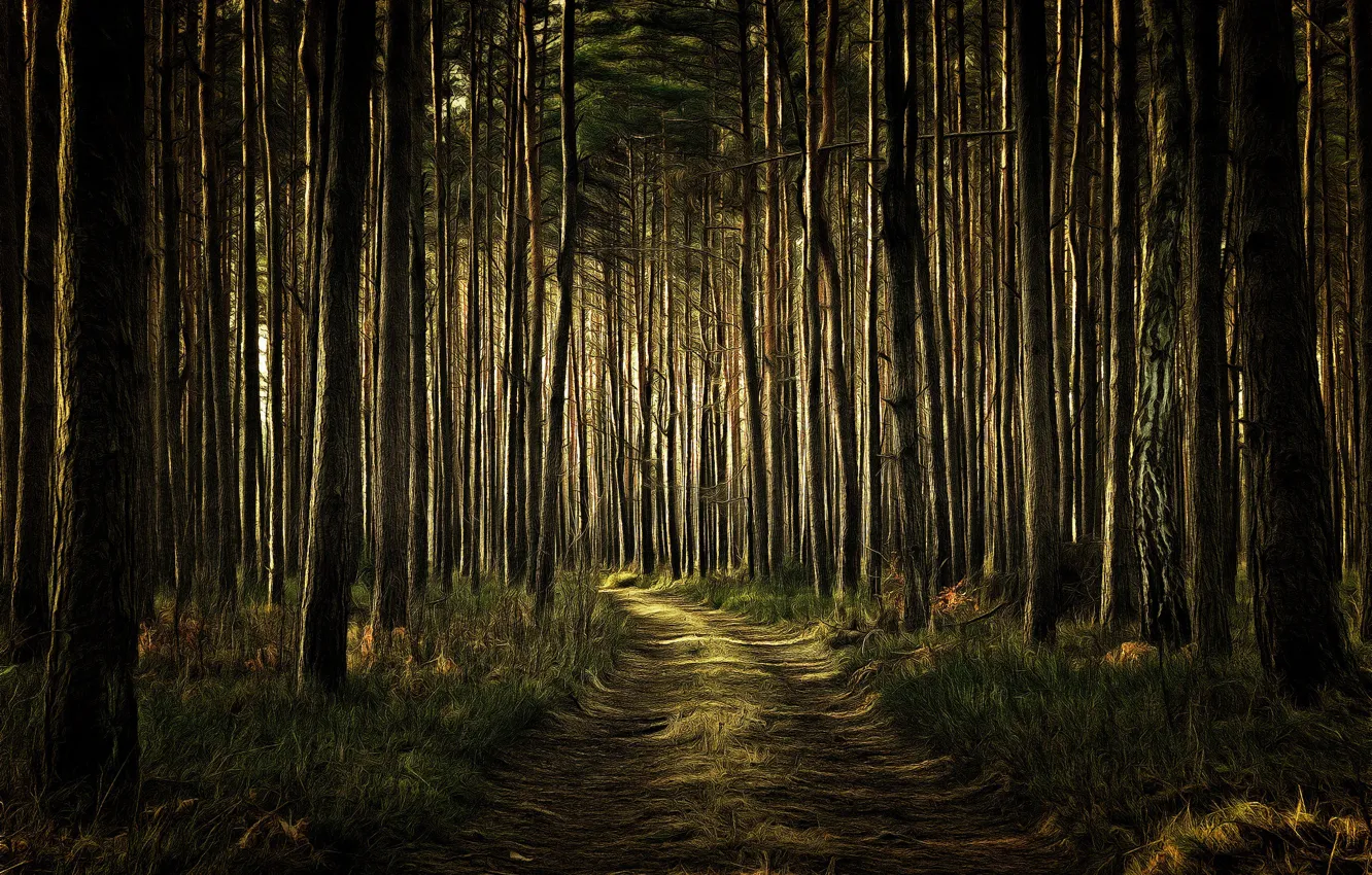 Фото обои дорога, лес, digital painting