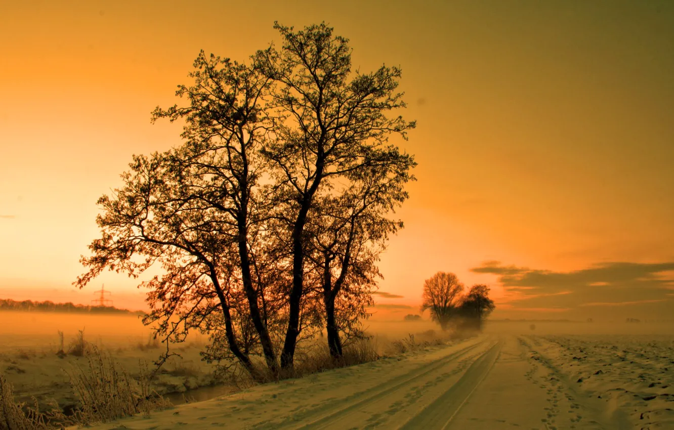 Фото обои зима, дорога, небо, снег, деревья, закат, туман, дымка