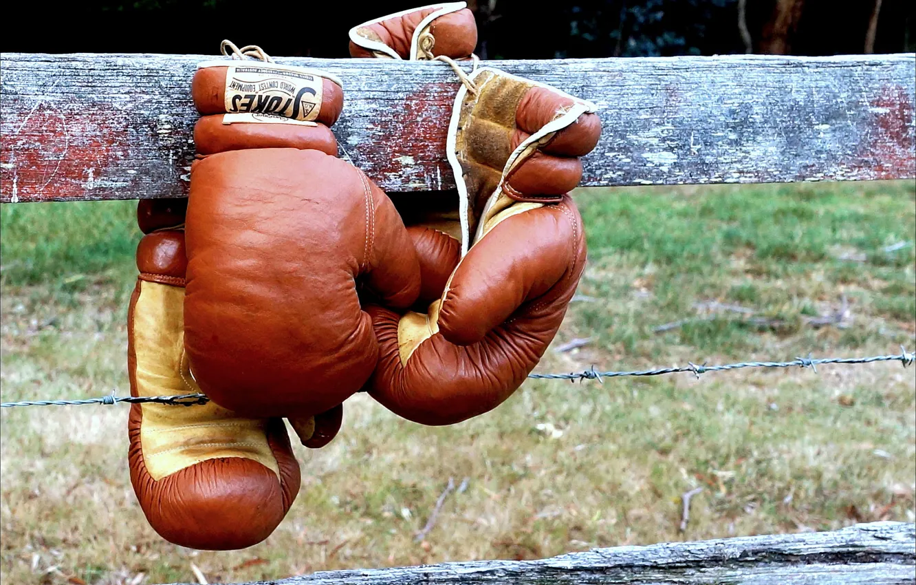Фото обои спорт, забор, бокс, боксерские перчатки